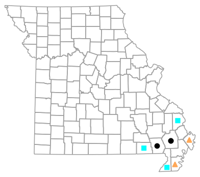 Historical county map for Amphiuma tridactylum (Three-toed Amphiuma)