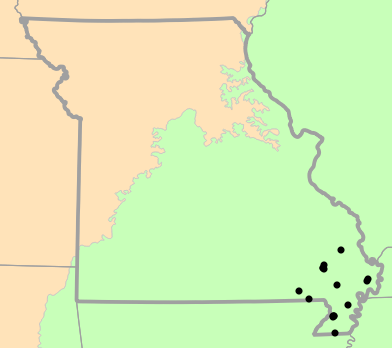 Level I Ecoregions map for Amphiuma tridactylum (Three-toed Amphiuma)