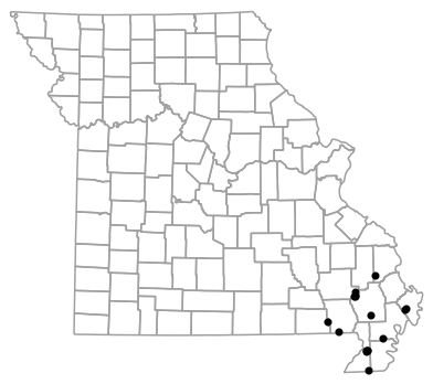 Locality map for Amphiuma tridactylum (Three-toed Amphiuma)