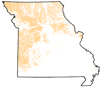 Missouri Presettlement Prairie
